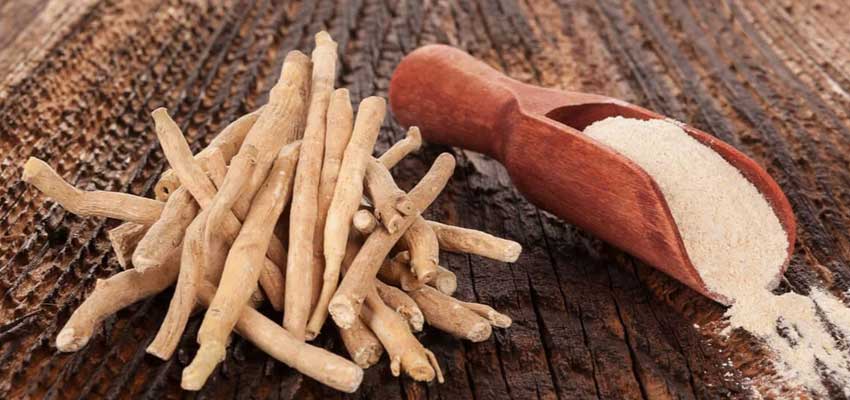 ashwagandha health benefits