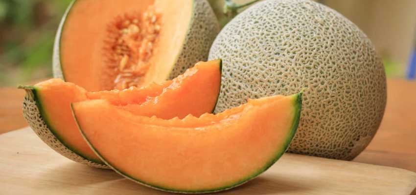 muskmelon juice and seeds benefits