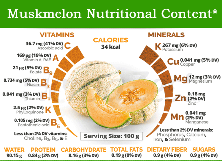 Nutritional Benefits, Uses & How to Consume Muskmelon PlanMyMedical