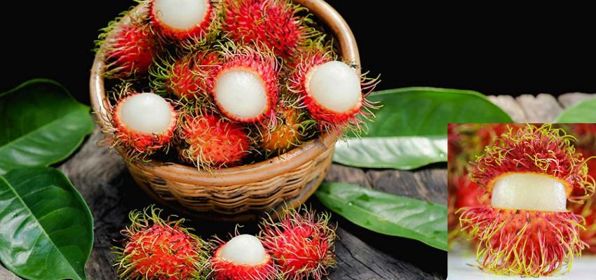 rambutan fruit taste