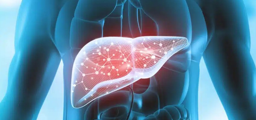 About Liver Cirrhosis