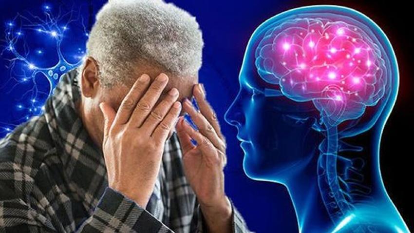 About Alzheimer's Disease