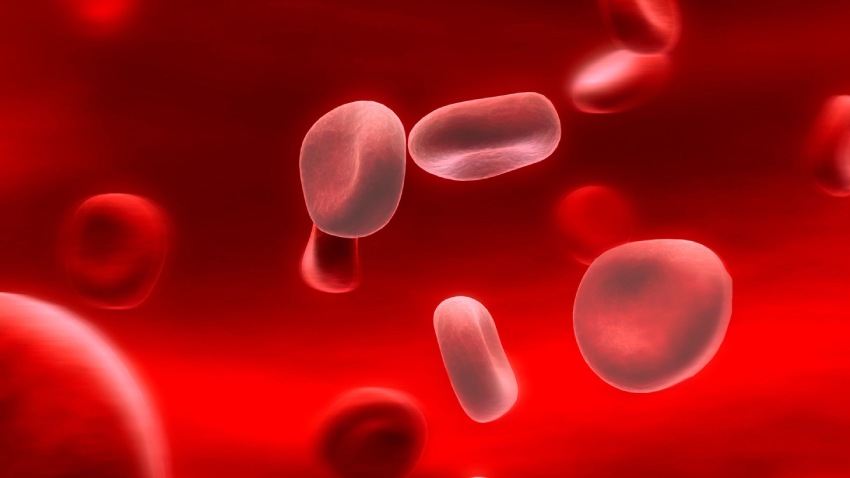 About Aplastic Anemia