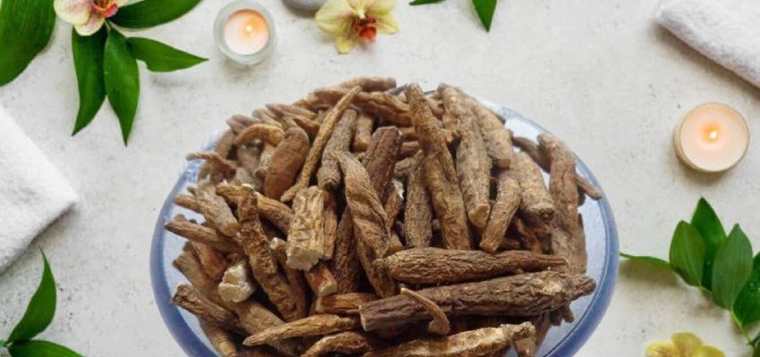 Ativisha and its uses with different types of herbs