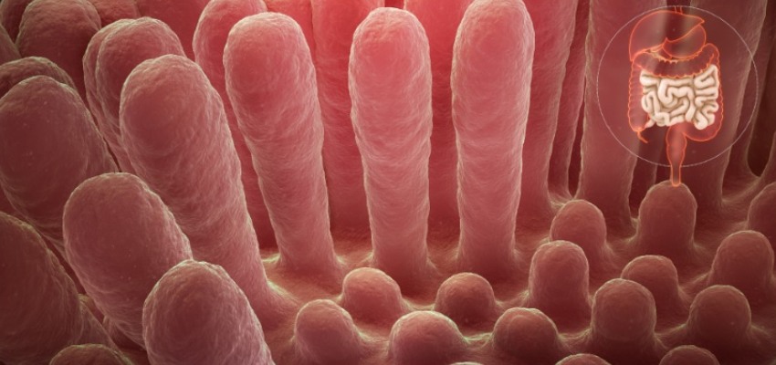 Celiac disease progression