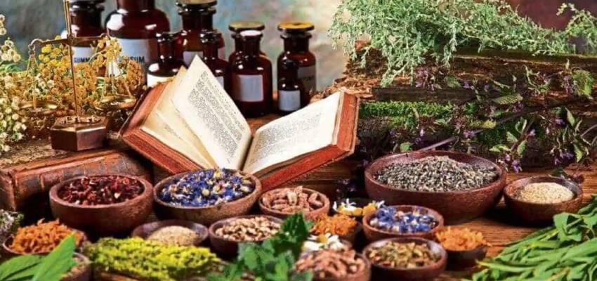 Some ayurvedic medicines with Ativisha as key ingredient