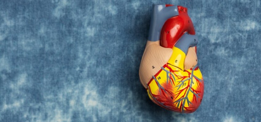 About Cardiomyopathy