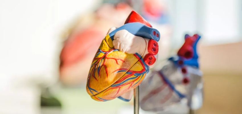 About Congestive Heart Failure