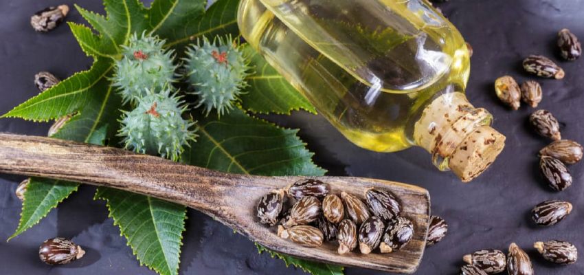 Versatile Uses of Eranda (Castor Oil)