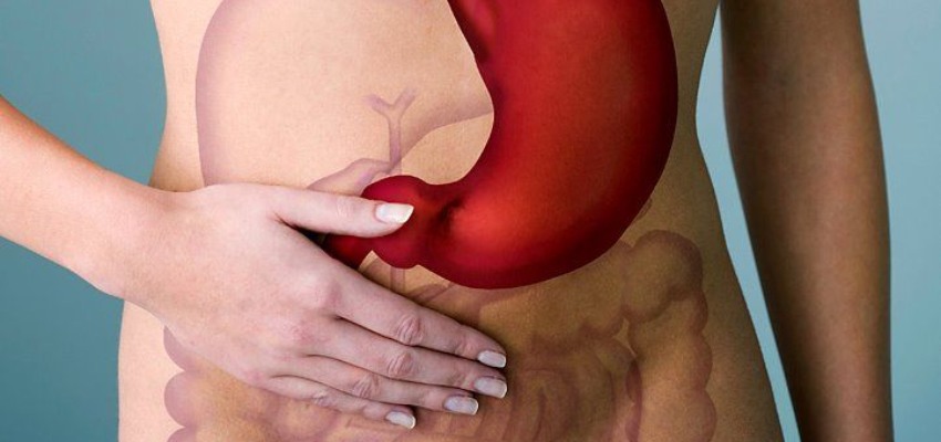 About Appendix Treatment