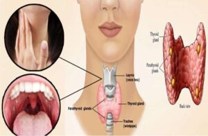 थायराइड के लक्षण क्या होते हैं