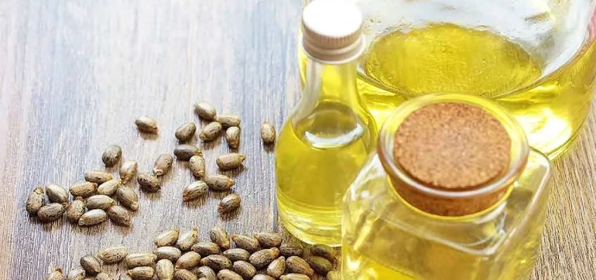 Castor Oil ke upyog ke tarike