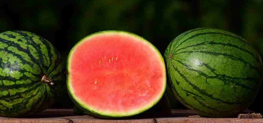 Watermelon-ko-hindi-me-kya-kehte-hai