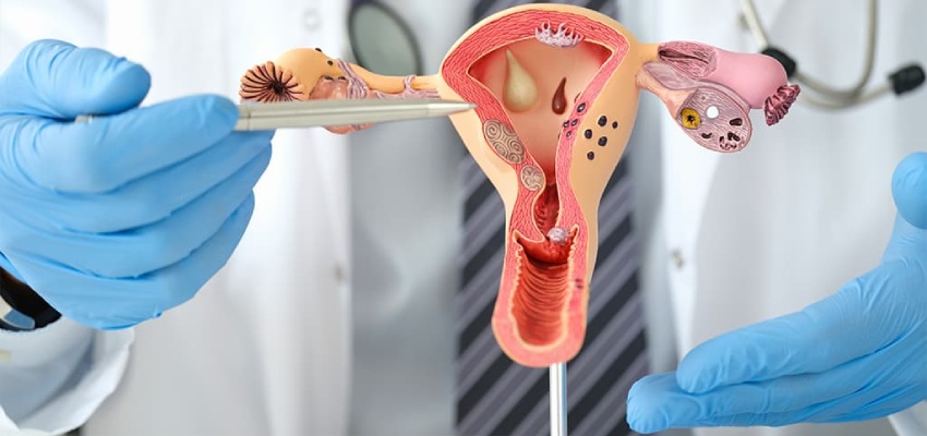 About Intrauterine Insemination Treatment