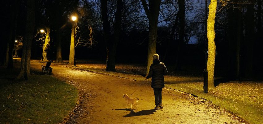 Consider these tips for an after -dinner walk