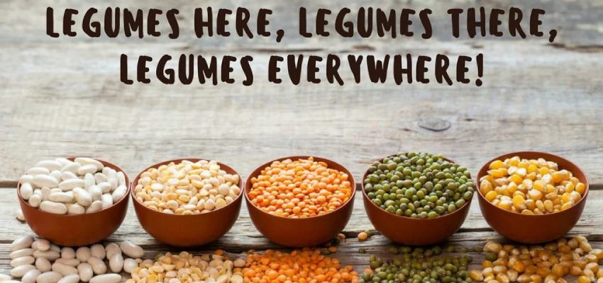 Legumes