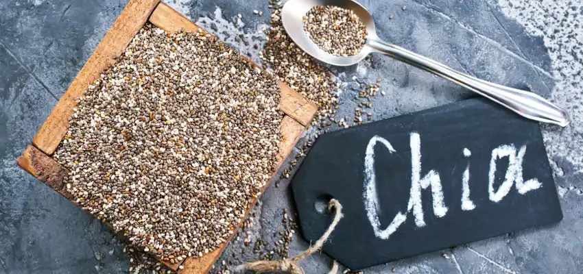 Main health benefits of Chia seeds to know