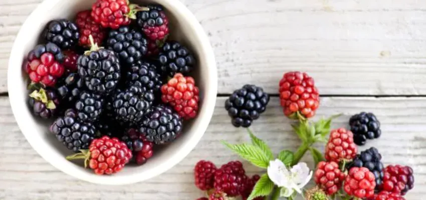 Overall Nutritional content of Indian berries