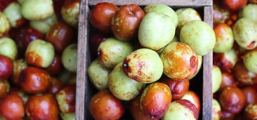 Translation of ‘Jujube Fruit’ in English