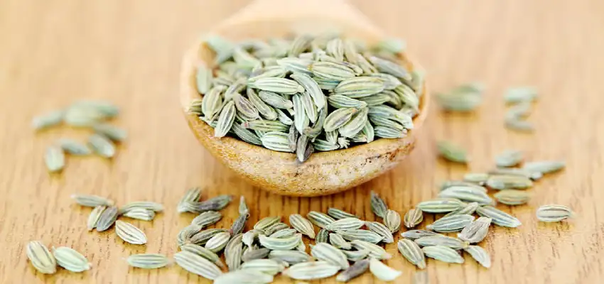 Fennel Seeds ko hindi me kya kehte hain