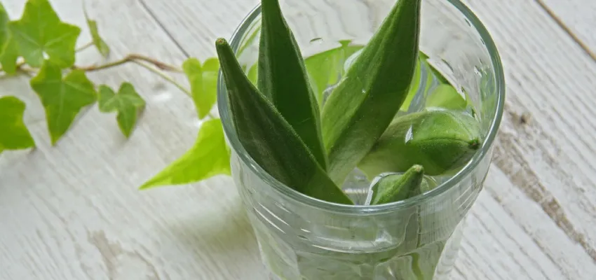 Time Required for Okra Water to Show Results