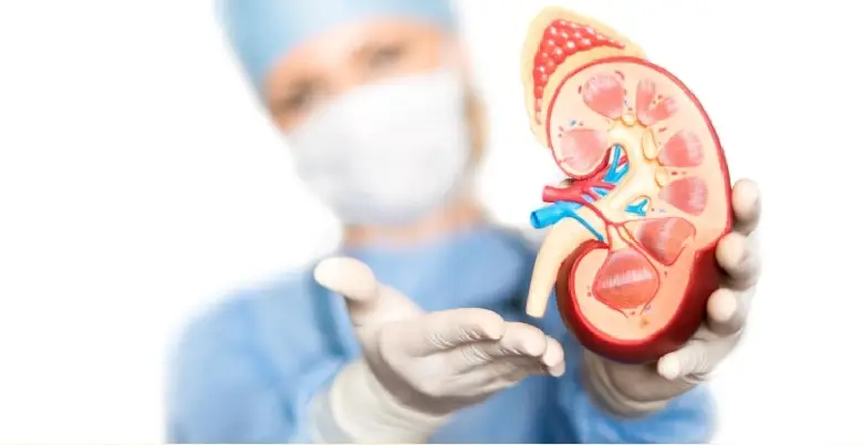 Kidney Transplant introduction