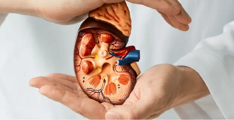 Diagnosis kidney transplant