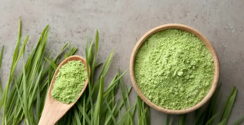 wheatgrass powder kaha milta hai