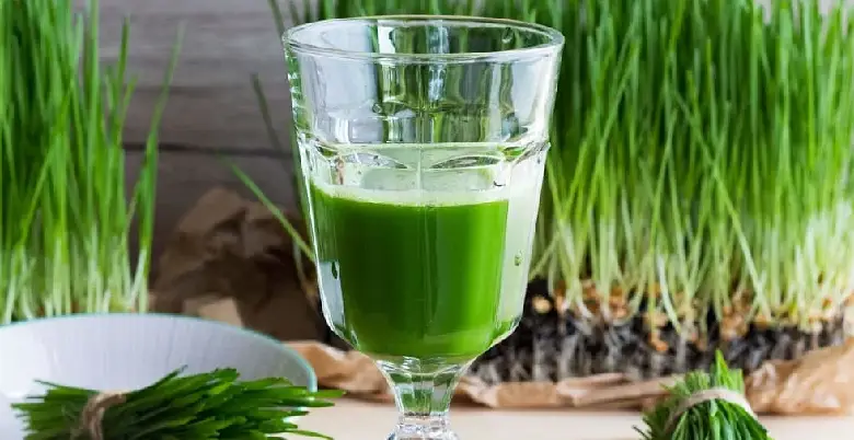 wheatgrass powder ke kya kya fayede hote hai