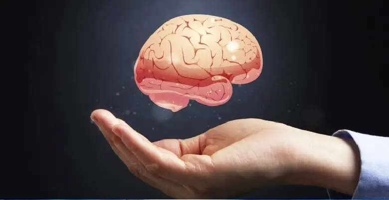 Types of brain haemorrhage