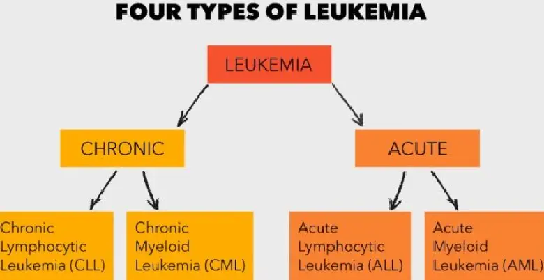 Types of leukaemia