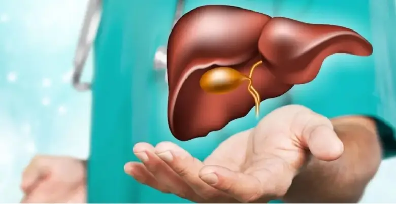 Liver Transplant Introduction