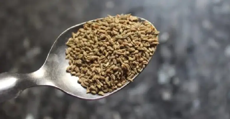 ajwain ke upyof krne ke tarike 