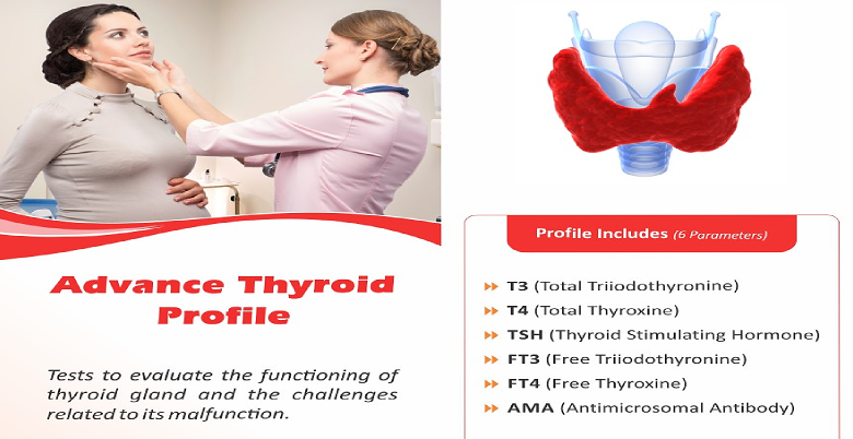 About Thyroid profile test.