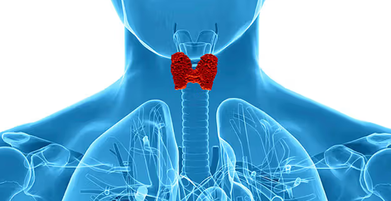 Normal range of Thyroid test.