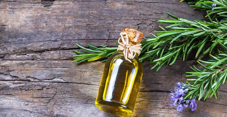  Rosemary Oil se baal badhane ke fayede 