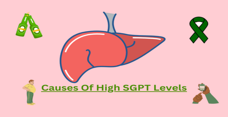 good and simple ways to reduce SGPT level 