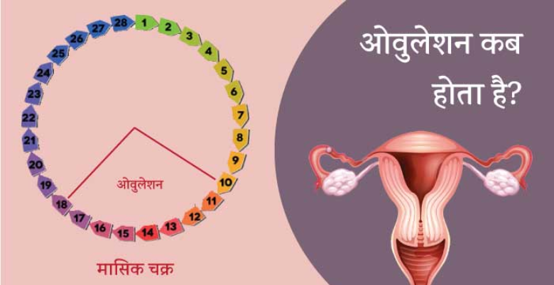 Ovulation ke test ka sahi smy kya hota hai 