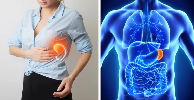 what is spleen disease 